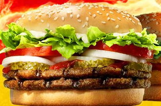 哆哆基 引領養生新風尚，快餐行業的健康革命者